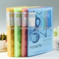 Plastic file folder clear file folder pocket folder